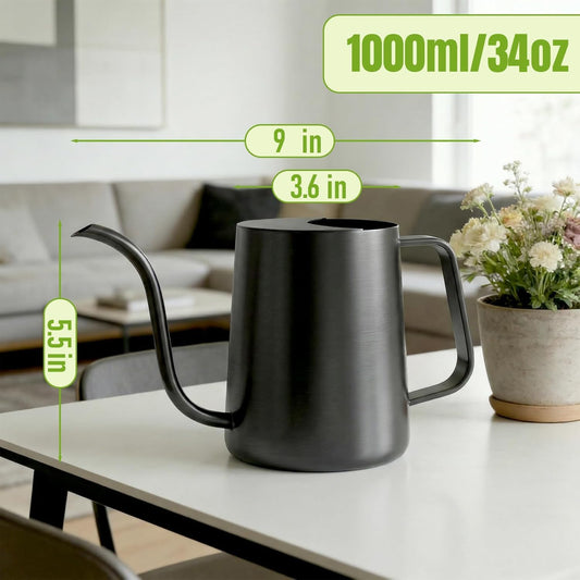 Watering Can Indoor Plants, 34oz Stainless Steel Long Spout, Black