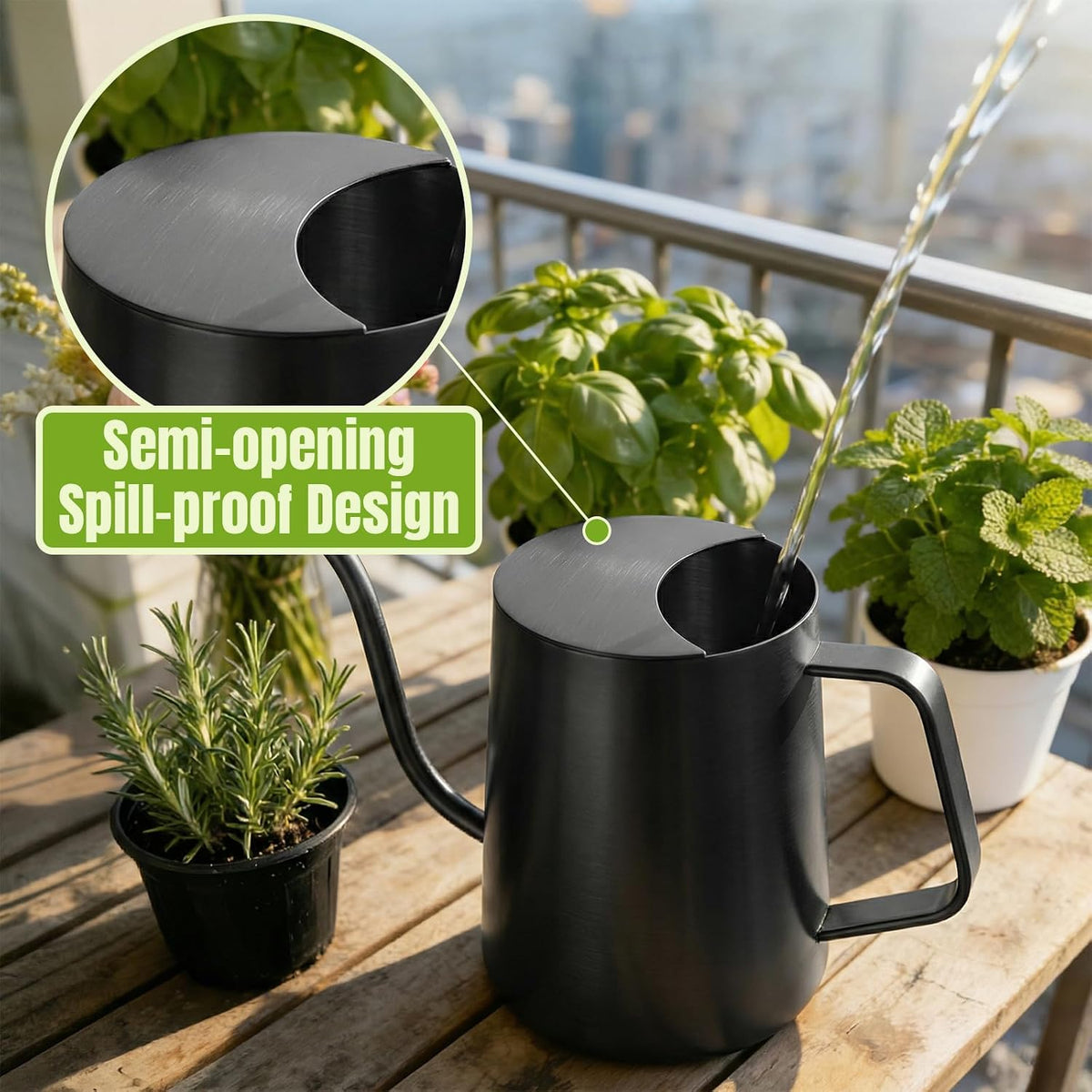 Watering Can Indoor Plants, 34oz Stainless Steel Long Spout, Black