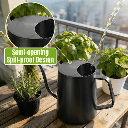 Watering Can Indoor Plants, 34oz Stainless Steel Long Spout, Black
