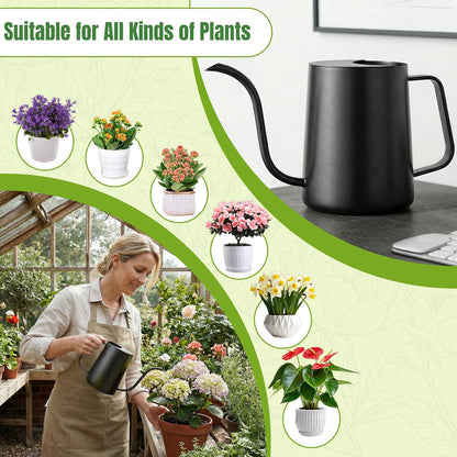 Watering Can Indoor Plants, 34oz Stainless Steel Long Spout, Black