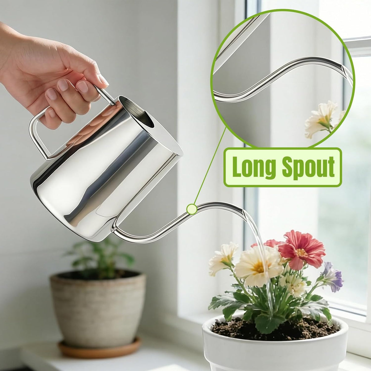 Watering Can Indoor Plants, 34oz Stainless Steel Long Spout, Black