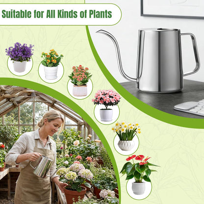 Watering Can Indoor Plants, 34oz Stainless Steel Long Spout, Black