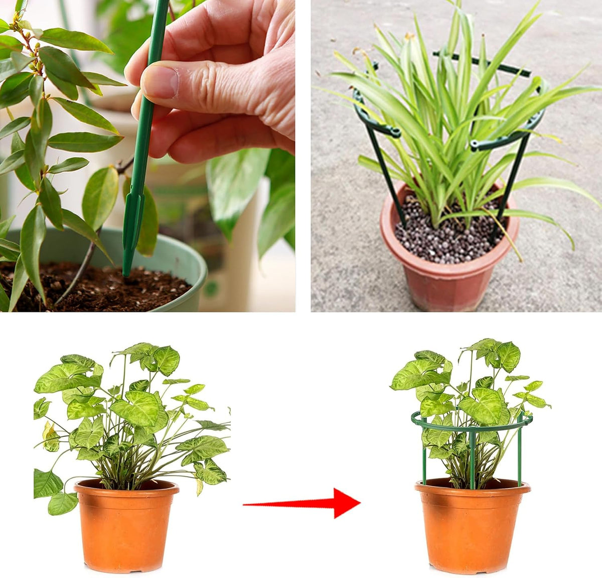 Small Plant Stakes, 12pcs Plant Support Stakes Small Tomato Cage