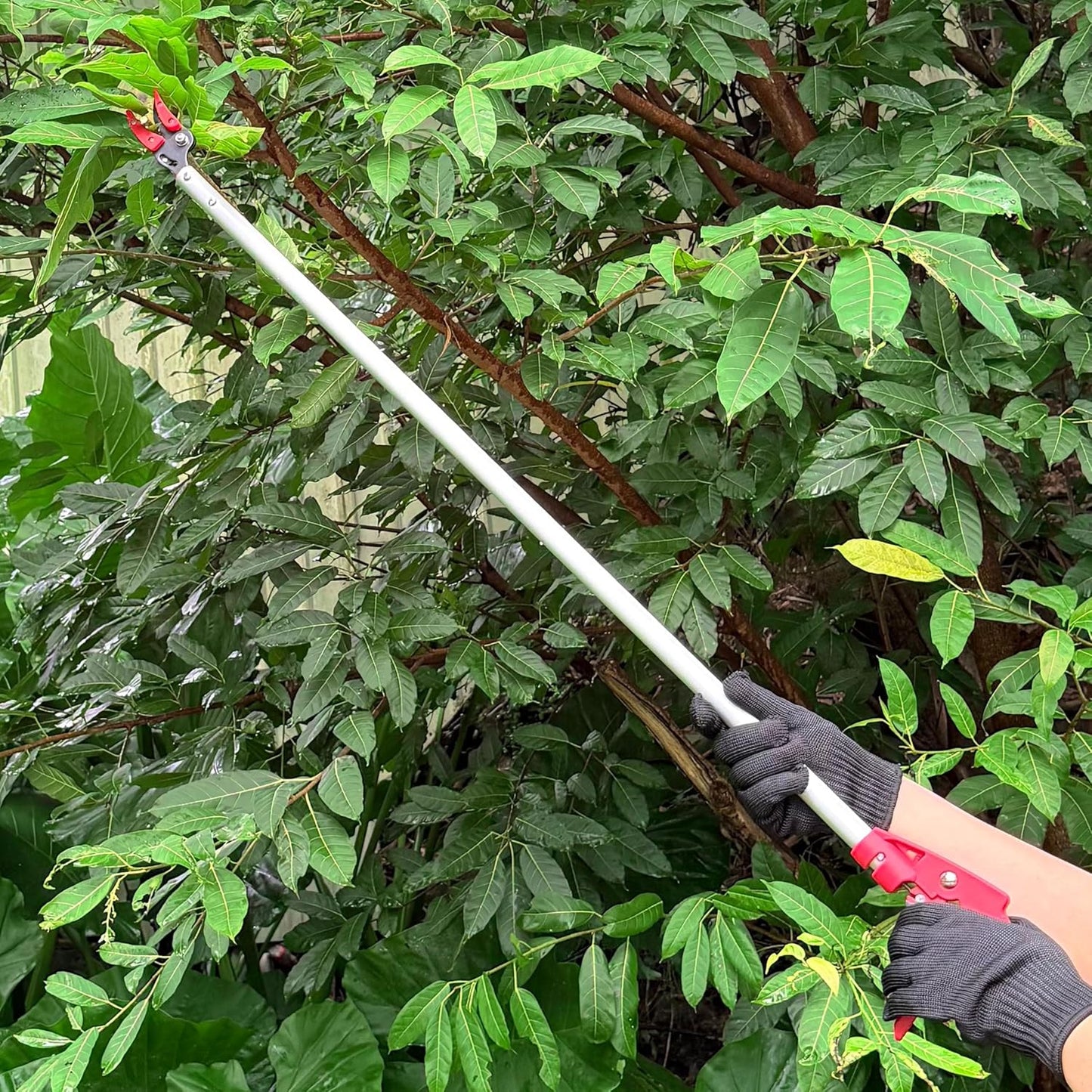 Tree Pruner, 4 FT Long Reach Pruner with SK5 Steel Blade, Aluminum Pole Tree Trimmer, Fruit Picking Tool, Cut and Hold, Bypass Pruner