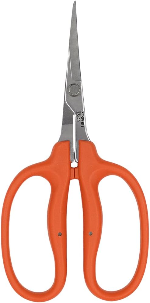 Curved MasaMasa Scissors