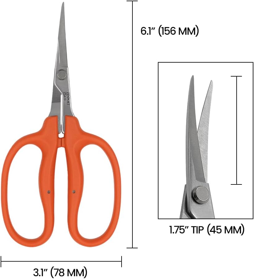 Curved MasaMasa Scissors