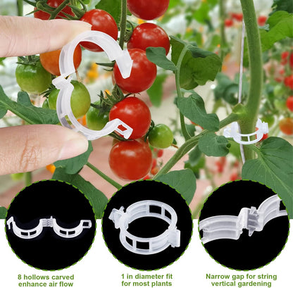 40Pcs Tomato Hooks with String, Holder & Plant Support Clips - 33.3ft Twine to Prevent Tomatoes from Pinching or Falling Off