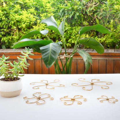 5PCS Monstera Plant Support Hook - 4.1 * 4.4IN Stem Holder
