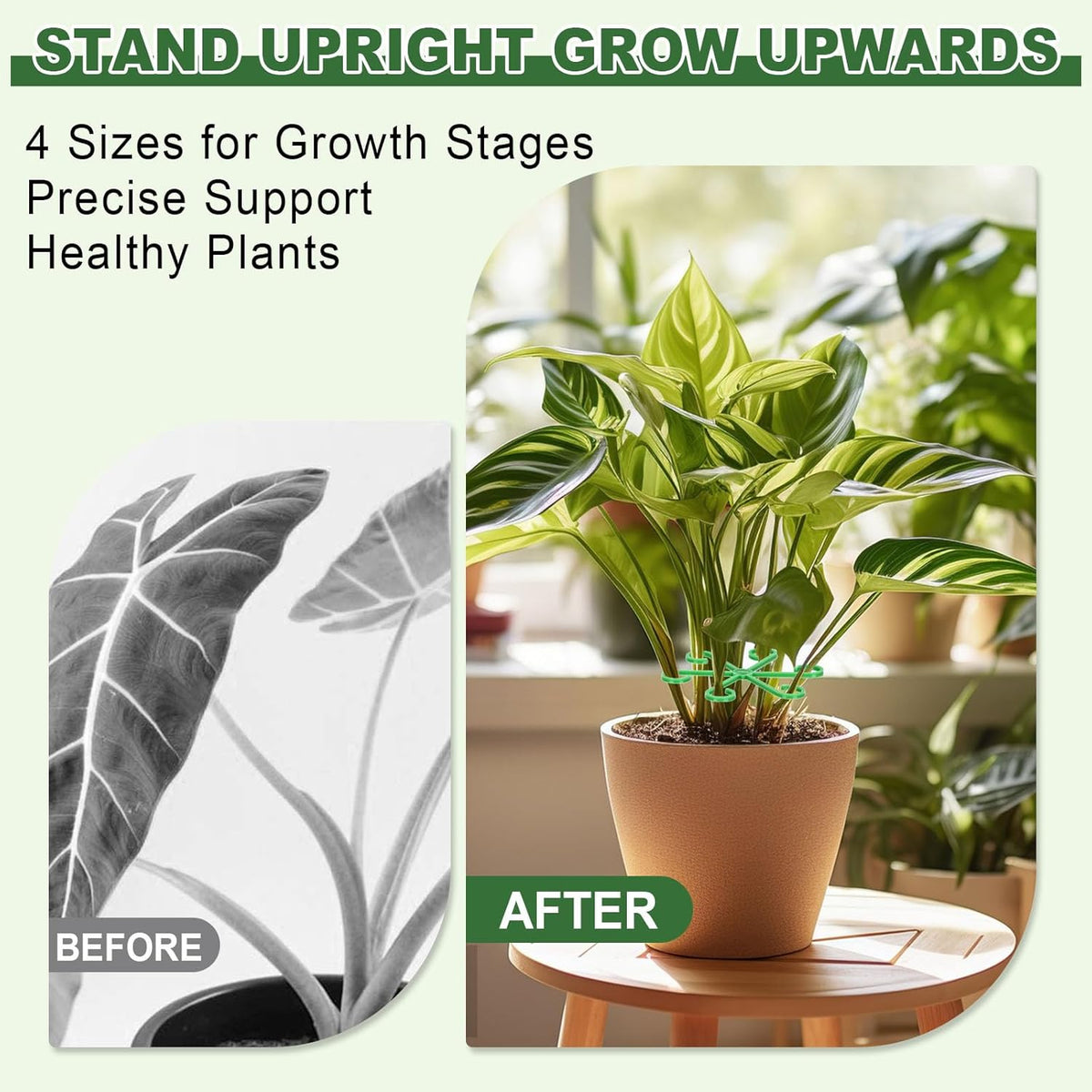 8pcs Plant Stem Support, Plant Support for Indoor Plants, 4 Sizes Climbing Houseplant Stem Holders, Reusable Plant Stabilizer, Indoor Plants Accessories