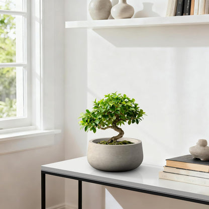 Kante 15.7" Dia Round Concrete Planter, Outdoor Indoor Garden Plant Pots with Drainage Hole and Rubber Plug, Modern Curvaceous Design, Slate Gray