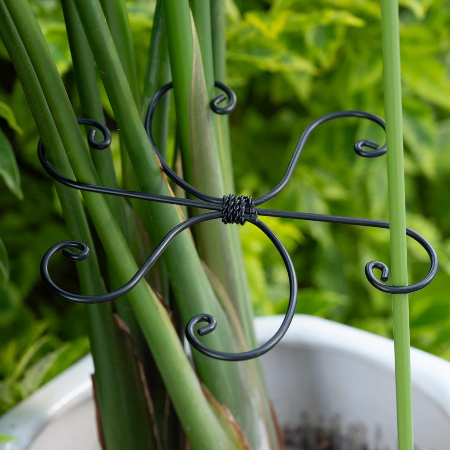 5PCS Monstera Plant Support Hook - 4.1 * 4.4IN Stem Holder