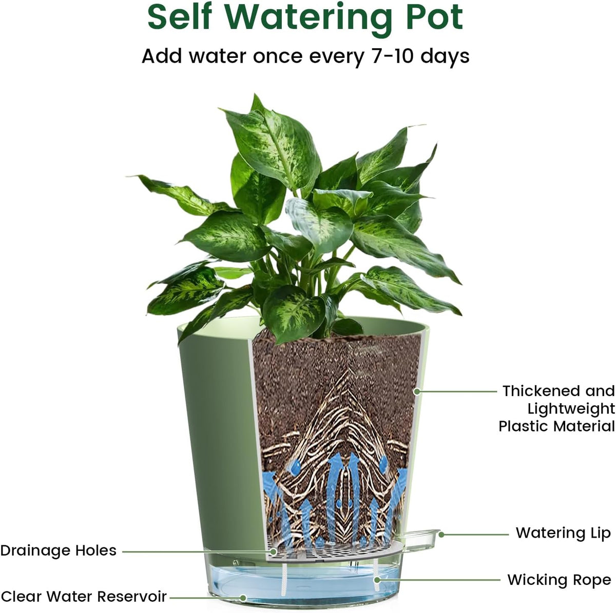 Meowell Self Watering Pots Pack of 6 – Different Size 4" to 7" Indoor Plant Pots with Drainage Holes and Clear Reservoir for Visible Water Level, Plastic Wicking Planters for House Plants, White