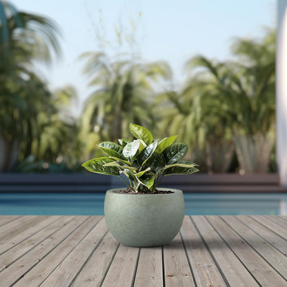Large Round Bowl Vintage BRN Concrete Planter 19.9" Dia, Outdoor