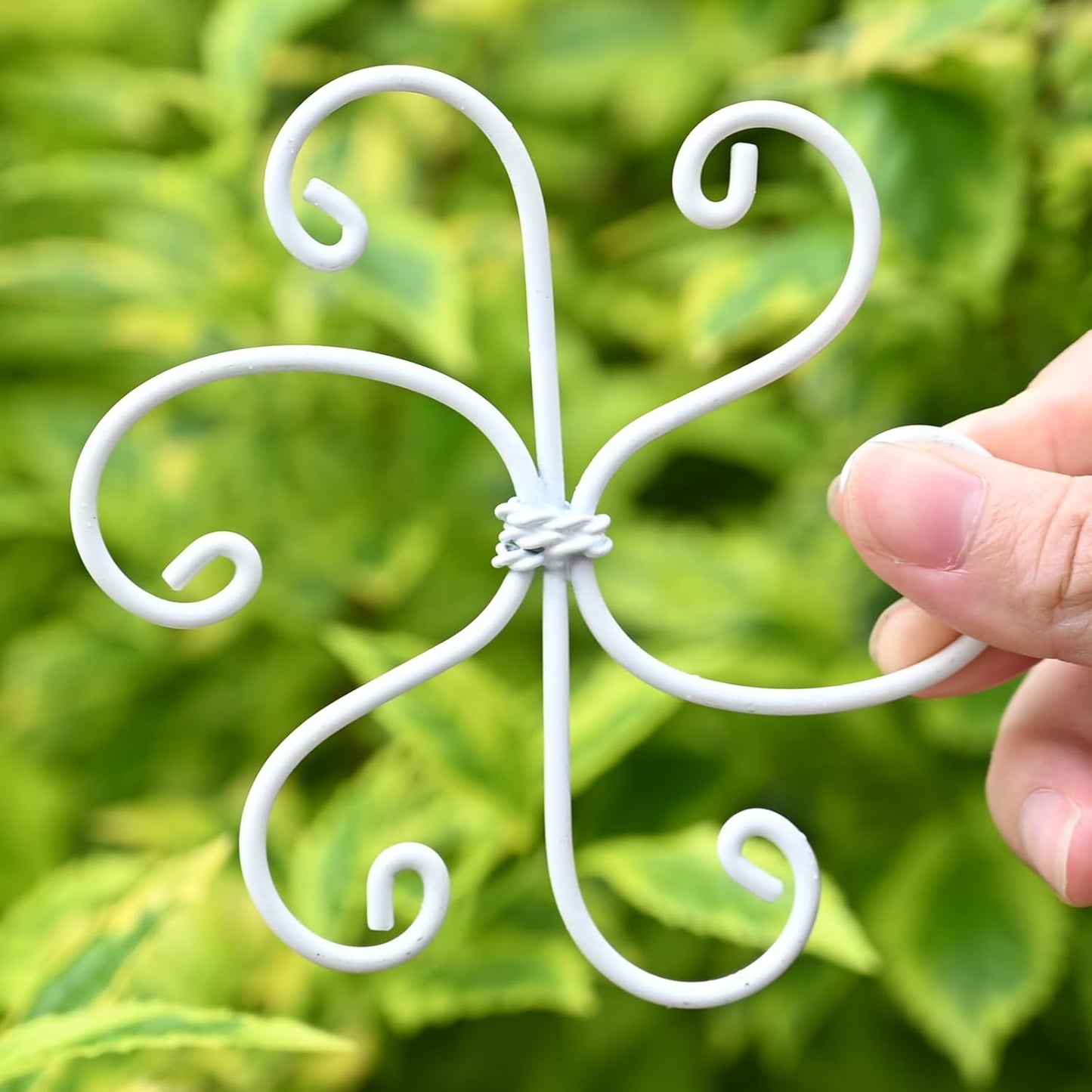 5PCS Monstera Plant Support Hook - 4.1 * 4.4IN Stem Holder