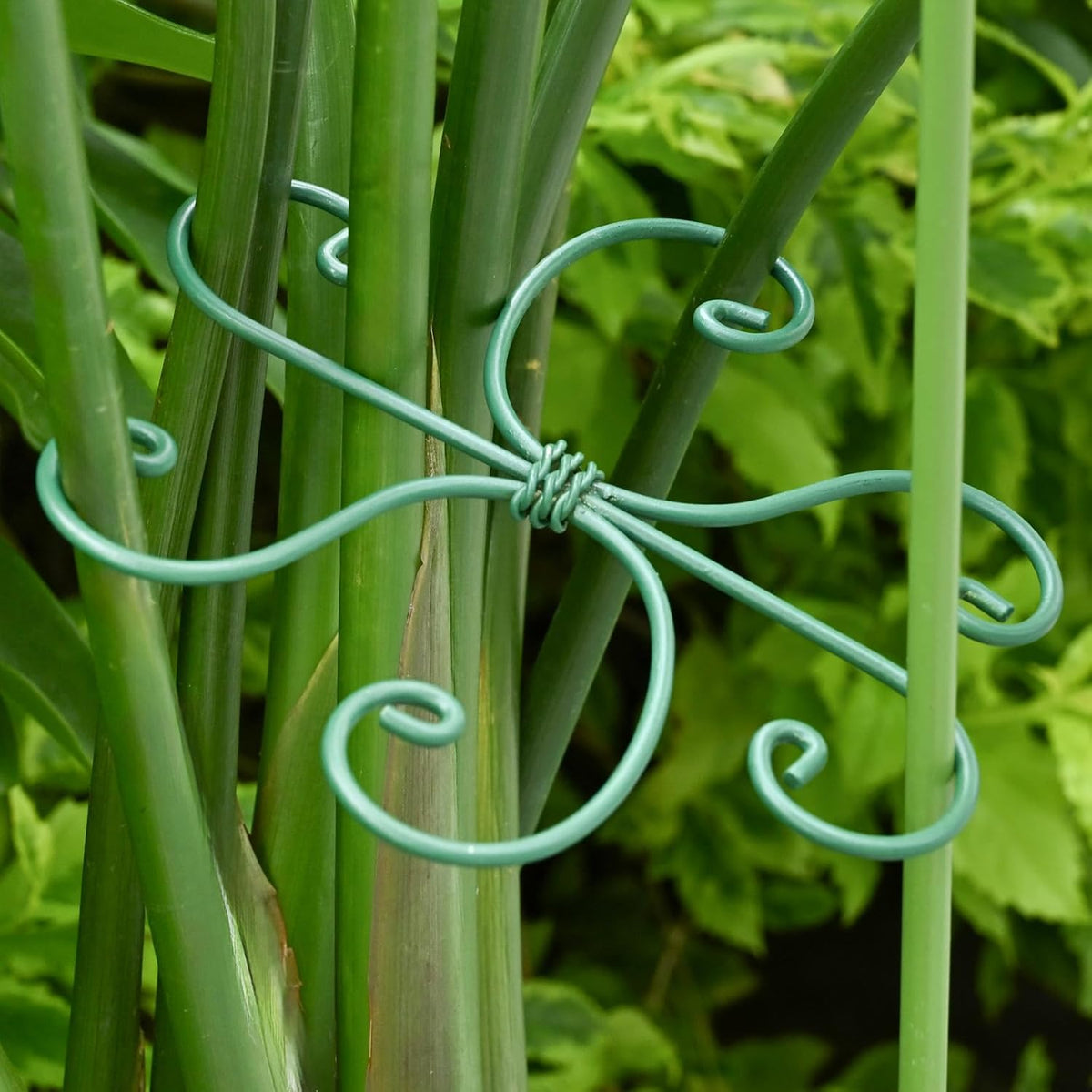 5PCS Monstera Plant Support Hook - 4.1 * 4.4IN Stem Holder