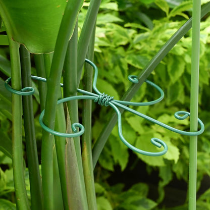 5PCS Monstera Plant Support Hook - 4.1 * 4.4IN Stem Holder
