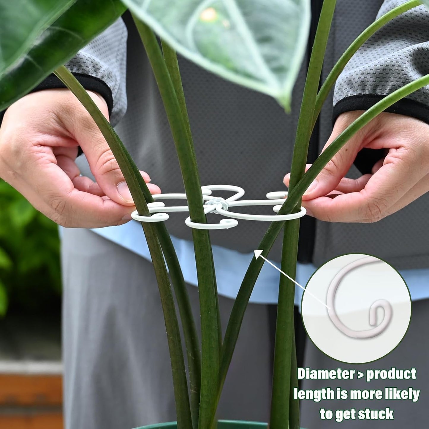 5PCS Monstera Plant Support Hook - 4.1 * 4.4IN Stem Holder