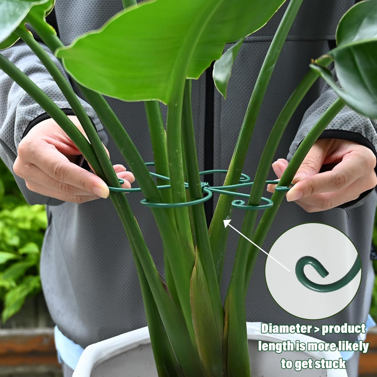 5PCS Monstera Plant Support Hook - 4.1 * 4.4IN Stem Holder