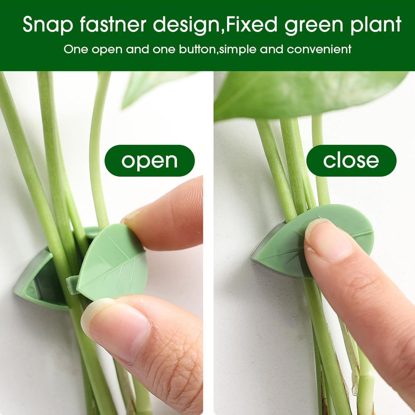 LUOTIVON 24 Pcs Plant Climbing Wall Fixture Clips, Plant Fixer Invisible Wall Vines Fixing Clips with 24 Pcs Acrylic Adhesive Sticker, Self-Adhesive Hook Plant Vine Support Holder