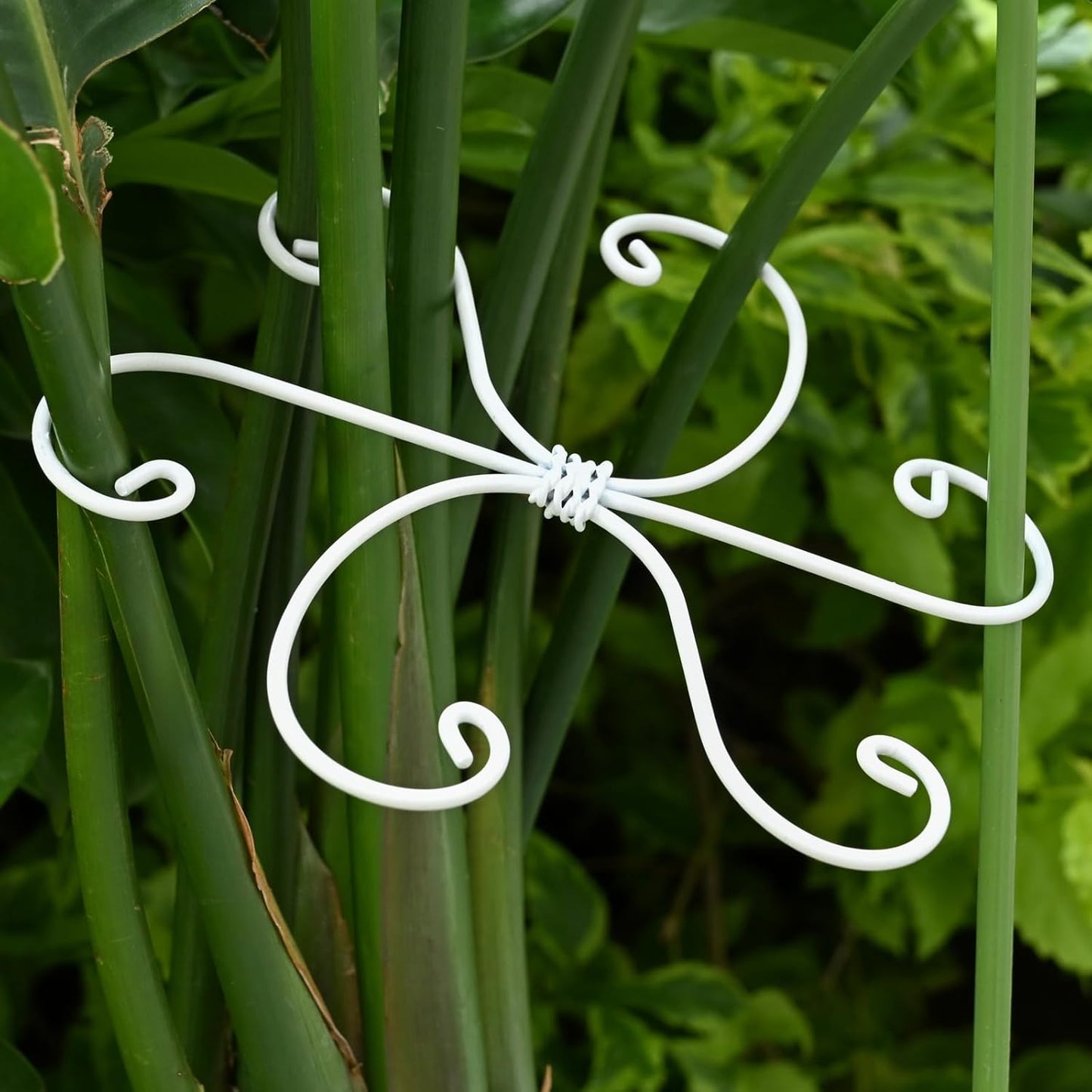 5PCS Monstera Plant Support Hook - 4.1 * 4.4IN Stem Holder