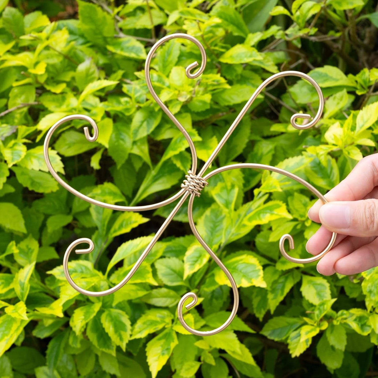 5PCS Monstera Plant Support Hook - 4.1 * 4.4IN Stem Holder