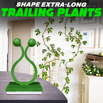 Plant Wall Clips for Climbing Plants 110 Pcs - Pothos Plant Climber Support, Large, Medium, Small Sizes Wall Clips for Support, Strong Self-Adhesive, For Indoor Plants, Cable Management & Plant Holder