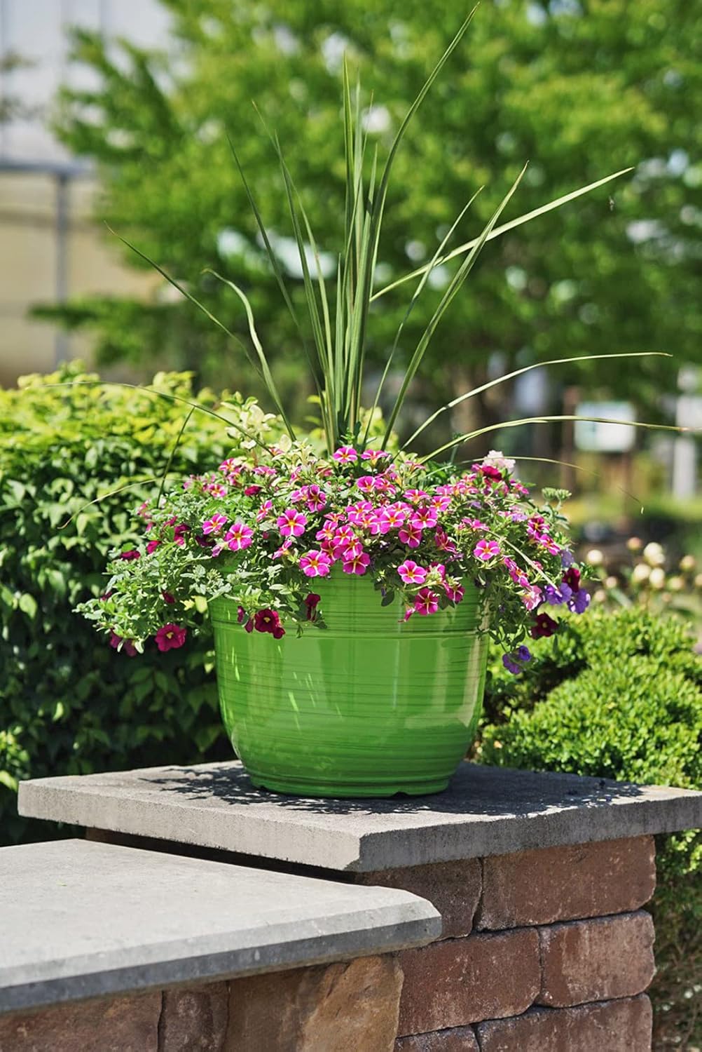 Garden Elements Indoor/Outdoor Glazed Brushed Happy Plastic Planter, Large, Bright Pink, 15"
