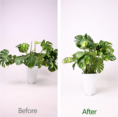 5PCS Monstera Plant Support Hook - 4.1 * 4.4IN Stem Holder