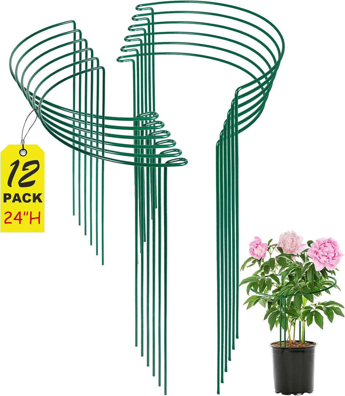 24 Inch Peony Cages and Supports for Large Hydrangea Bushes, Outdoor Plants, Heavy Duty Tall Plant Support Stakes, 12 Pack - Tool-Free Interlocking Design with Powder Coated Rust-Proof Metal Ring