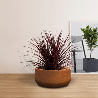 Kante 15.7" Dia Round Concrete Planter, Outdoor Indoor Garden Plant Pots with Drainage Hole and Rubber Plug, Modern Curvaceous Design, Slate Gray