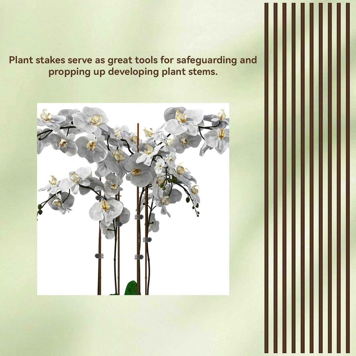 JJUNW 10 Pcs Plant Stakes for Indoor Plants, Plants Support Stakes with 15 Pcs Plant Clips, 15.75 Inch Orchid Clips for Garden Supporting Stems Vines Stalks Grow Upright Flowers Gardening