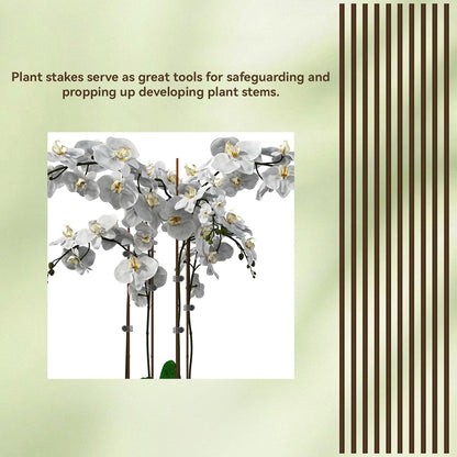 JJUNW 10 Pcs Plant Stakes for Indoor Plants, Plants Support Stakes with 15 Pcs Plant Clips, 15.75 Inch Orchid Clips for Garden Supporting Stems Vines Stalks Grow Upright Flowers Gardening