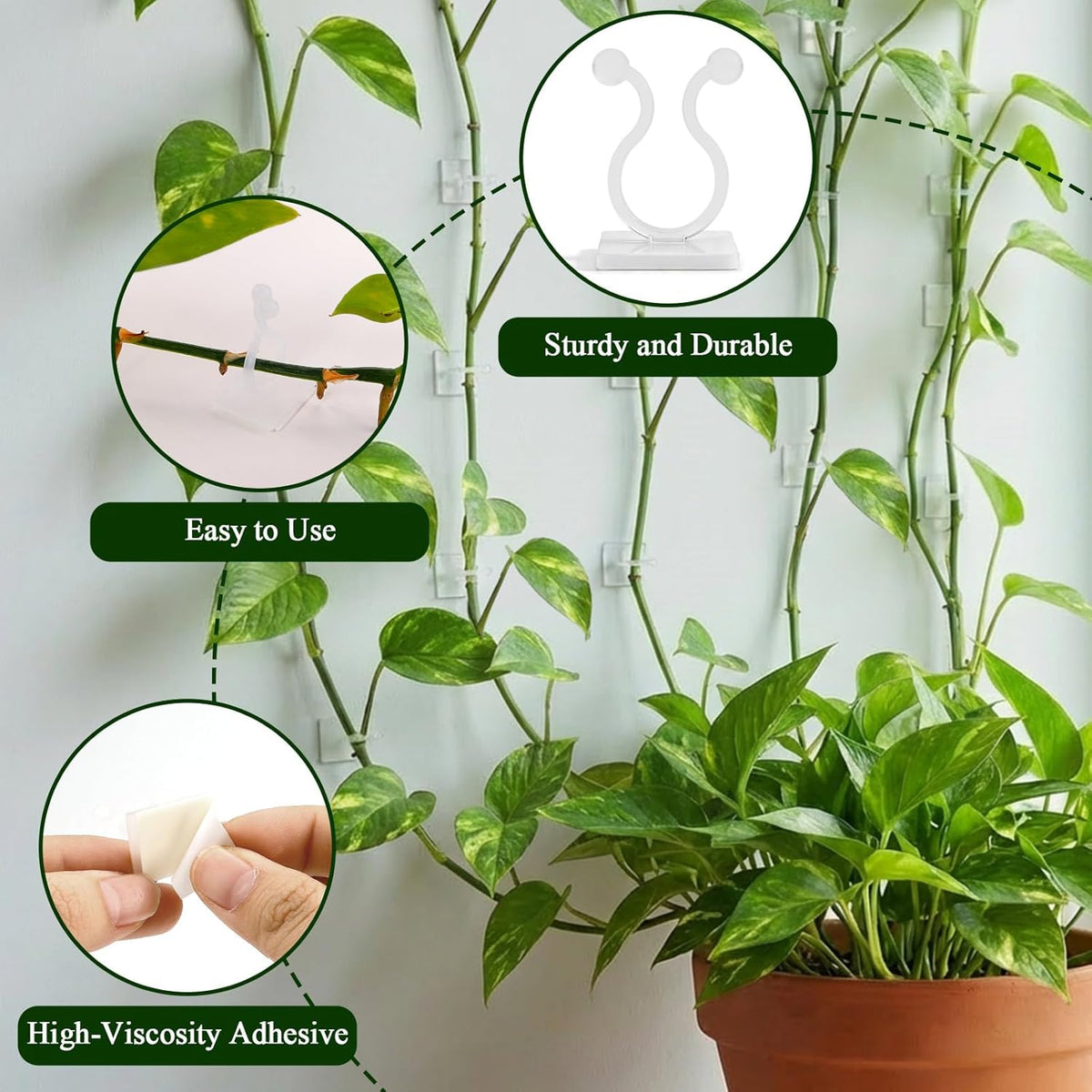 100 Pcs Plant Climbing Wall Fixture Clips, White Plant Fixer with Self-Adhesive Hook, Fixing Clip Vines Holder for Indoor Outdoor Plants Support Cable Wire (Medium)