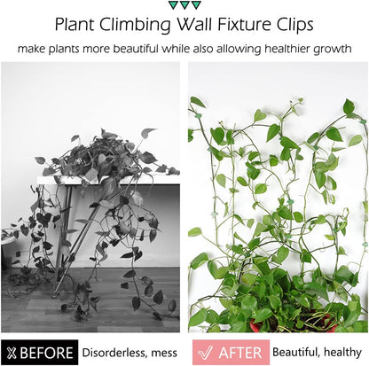 LUCKJUJU 100 Pcs Plant Climbing Wall Fixture Clips Self-Adhesive Hook Vines Traction Clips Invisible Holder Garden Green Leaf Simulation Self-Adhesive Hook Wire Fixing Supporting