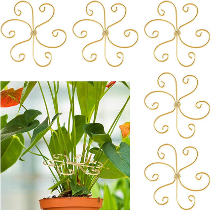 5 Pcs Plant Stem Support, Iron Monstera Plant Support, Durable Hook Stem Supports for Healthy Growth, Bamboo Clamp Set for Leaf Stabilization and Support, Ideal Present for Plant Lovers