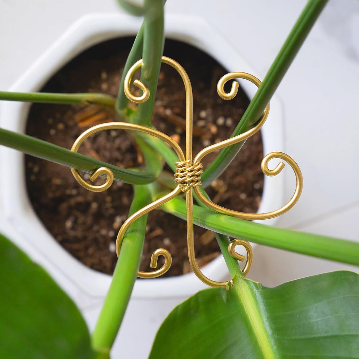 5PCS Monstera Plant Support Hook - 4.1 * 4.4IN Stem Holder