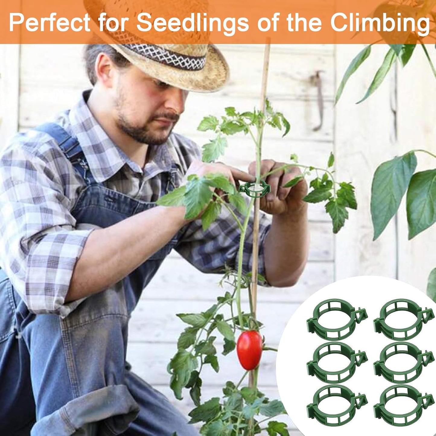 Tomato Support Hooks with String 20 Pcs,100 Pcs Plant Support Clips for Climbing Plants,Tomato Trellis Roller Hooks with 49.2FT String,Reusable Grape Vine Clips to Prevent Tomatoes