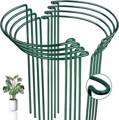 Snake Plant Support Stake - Half Round Peony Stake and Support, Heavy Duty Hydrangea Support Cage, Half Moon Houseplant Support Ring for Potted Indoor Plants (4 Pack, 14x8Inch)