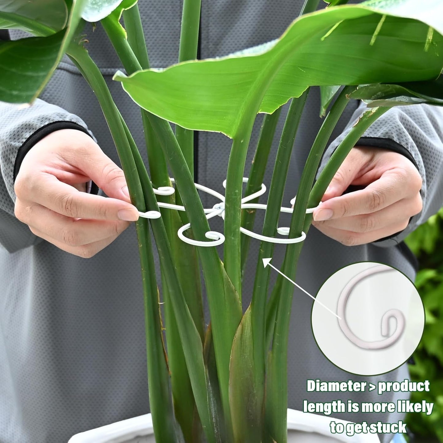 5PCS Monstera Plant Support Hook - 4.1 * 4.4IN Stem Holder