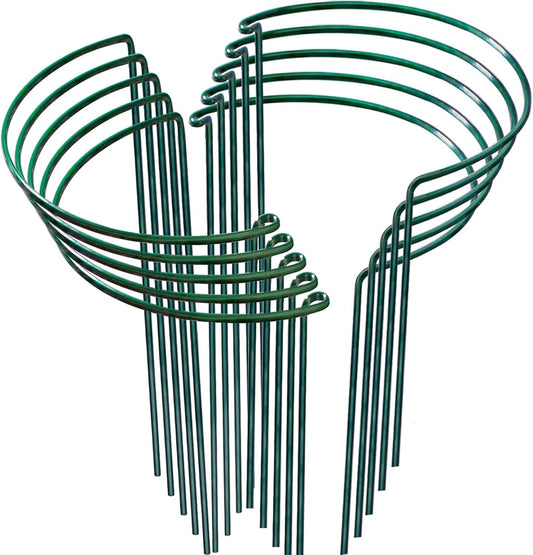 10 Pack Peony Support Ring, 16x10In Plant Support Sturdy and Durable for Inood and Outdoor Potted Plants