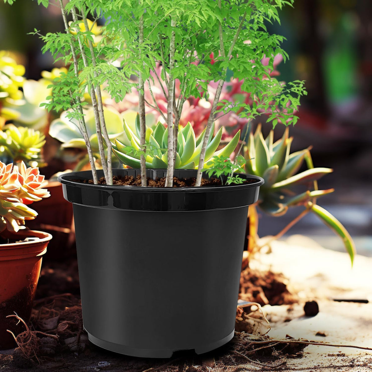 5 Gallon Nursery Pots (10-Pack) + 50ft Garden Hose with Spray Nozzle + 3-in-1 Soil Tester for Moisture/Light/pH | All-in-One Gardening Kit for Indoor/Outdoor Plants, Gardening Gifts for Women