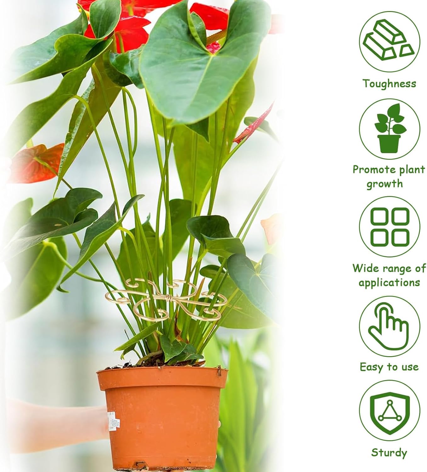 5 Pcs Plant Stem Support, Iron Monstera Plant Support, Durable Hook Stem Supports for Healthy Growth, Bamboo Clamp Set for Leaf Stabilization and Support, Ideal Present for Plant Lovers