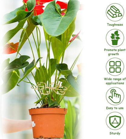 5 Pcs Plant Stem Support, Iron Monstera Plant Support, Durable Hook Stem Supports for Healthy Growth, Bamboo Clamp Set for Leaf Stabilization and Support, Ideal Present for Plant Lovers