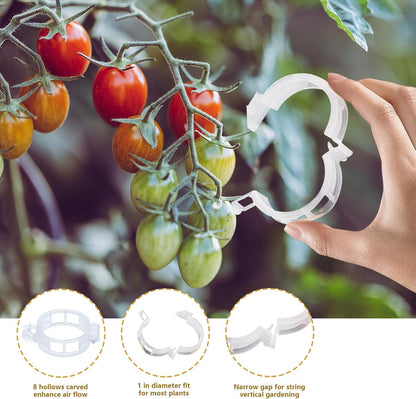 50PCS Tomato Hooks with String, Tomato and Vine Crop Trellis,Tomato Plant Support Clips with 33.3ft Twine to Prevent Tomatoes from Pinching or Falling Off(Green)