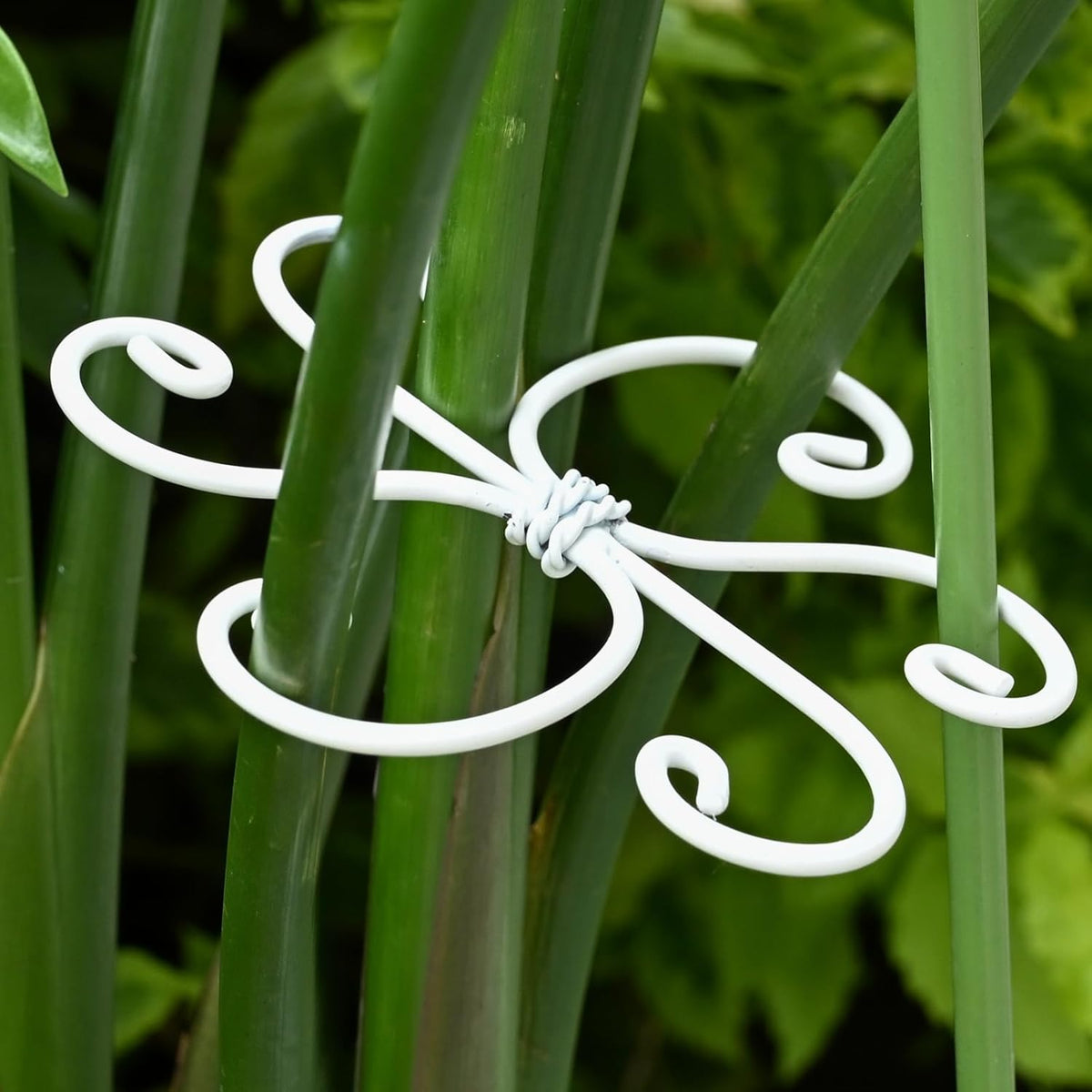 5PCS Monstera Plant Support Hook - 4.1 * 4.4IN Stem Holder