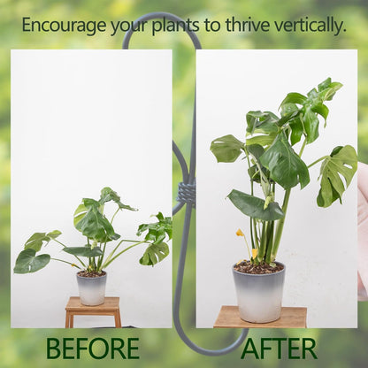 5PCS Monstera Plant Support Hook - 4.1 * 4.4IN Stem Holder