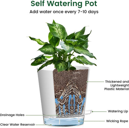 Meowell Self Watering Pots Pack of 6 – Different Size 4" to 7" Indoor Plant Pots with Drainage Holes and Clear Reservoir for Visible Water Level, Plastic Wicking Planters for House Plants, White
