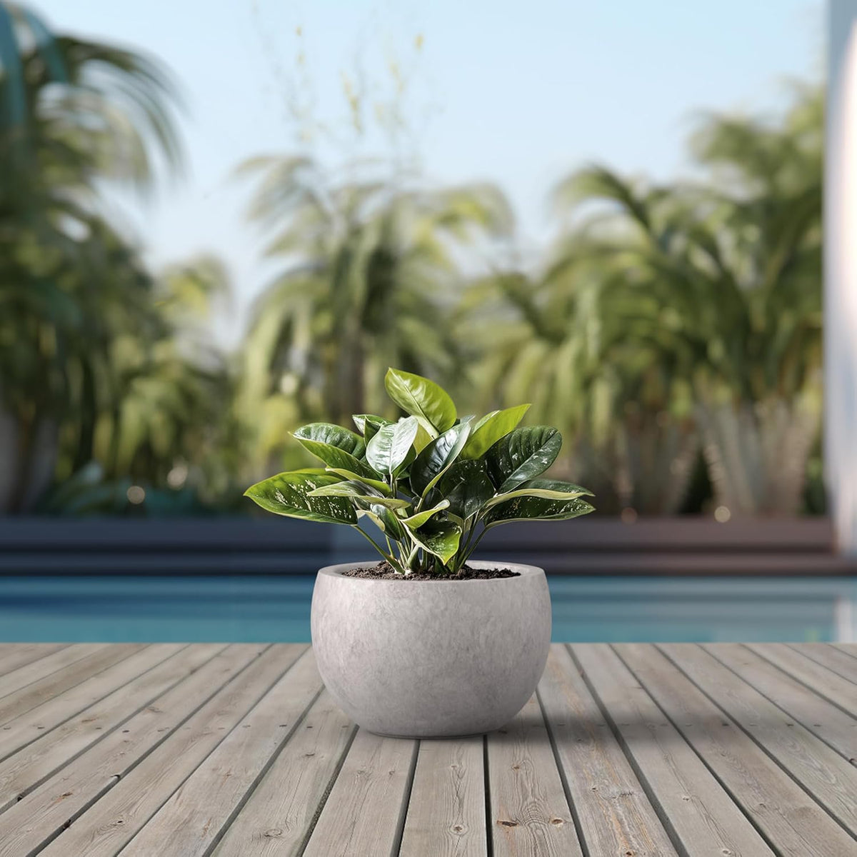Large Round Bowl Vintage BRN Concrete Planter 19.9" Dia, Outdoor