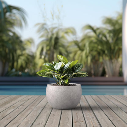 Large Round Bowl Vintage BRN Concrete Planter 19.9" Dia, Outdoor