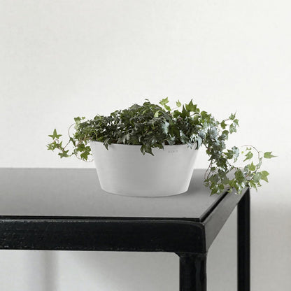 Ecopots Frankfurt Durable Modern Round Indoor/Outdoor Recycled-Based Composite Flower Pot Planter, Terracotta Color, 12"